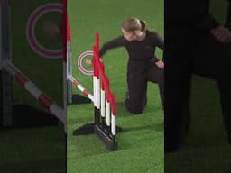 Dog agility exercises on just one jump!