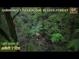 7 Days SOLO SURVIVAL CAMPING In RAIN Forest: Building Warm BUSHCRAFT SHELTER & Cooking @Tejascamping