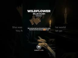 Wildflower - Billie Eilish (Male Key | Verse 1)