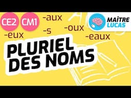 Le pluriel des noms CE2 - CM1 - Cycle 2 et 3 - Français - Orthographe