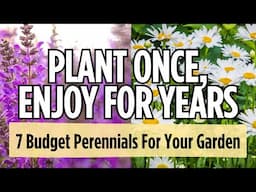 🌼 7 Budget-Friendly Perennials You’ll Love for Years | Plant Once, Enjoy Forever!