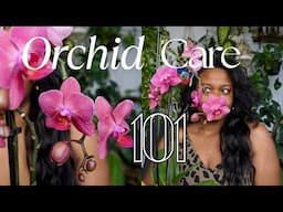 HOW TO BUY & KEEP ORCHID ALIVE