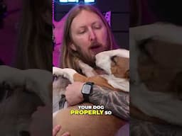 Drama or Dogs?
