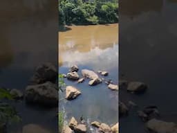 Mancha escura e espumas são registradas no rio Itajaí-Mirim em Brusque