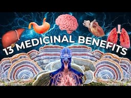 🍄 13 Ways This Mushroom Boosts Your Health Naturally!