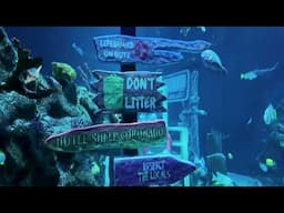 LEGOLAND California SEA LIFE Tour 2025