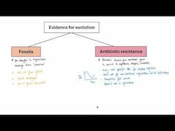 GCSE Biology - B15 Genetics and evolution OVERVIEW