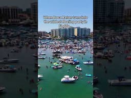 Boca Bash 2025 — South Florida knows how to party!