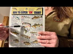 ASMR - Fish Guidelines Chart - Softly Spoken