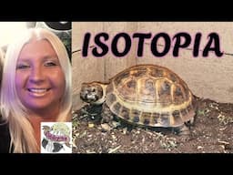 Isopods & More Talk  - Chatting with Patty Mesich of Isotopia