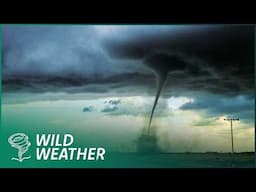 Tornado vs Hurricane: The Most Powerful Storms