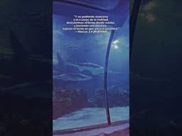 El paralítico fue curado porque tenía amigos que lo llevaron a Jesús.