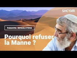 Pourquoi refuser la manne ? Rav Kling sur la Paracha Behaaloteha.