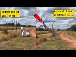 भाई सांड की शवारी करने चला था सांड रोकेट बना डाला 😂🤣ll Animal funniest moments recorded on camera