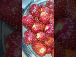 Strawberry #friut #shorts @joyoftastesstreet2030