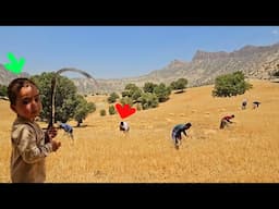 Documentary on Nomadic Life: Saif Ella's Efforts to Work and Find Her Love
