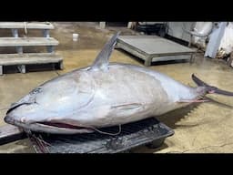 What Selling Bluefin Tuna is ACTUALLY Like (The REAL Wicked Tuna)