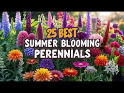 25 Perennials That Bloom all Summer Long With Stunning Flowers
