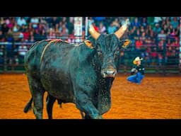 Final do Rodeio em Touro de UMUARAMA 2025
