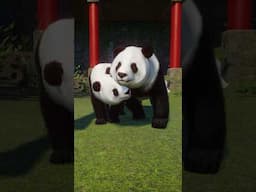 The CUTEST Giant Panda Interaction Ever?! 🐼💖
