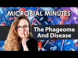 The Phageome’s Role in Health and Disease