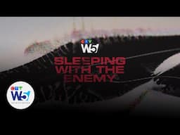 Sleeping with the Enemy: A W5 investigation