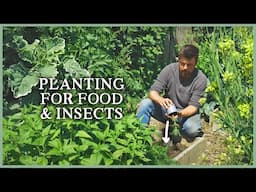 Tips for Filling The Garden With Useful Plants | The Kitchen Garden Ep4