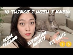 10 THINGS I WISH I KNEW BEFORE GETTING A DOG | RESCUE | GREYHOUND ADOPTION