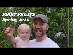 Fruiting Trees Walkabout 2025