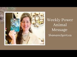 June 7-14, 2025: Weekly Power Animal Message And Crystal Healing Talisman. Dragonfly symbolism