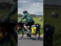 Day 1 bikepacking the length of the UK 🐑🐮🌊⛺️🚴🏻‍♀️🚴‍♂️#biketour #bikepacking