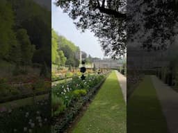 Spend A Minute With Me At Dyrham Park Amongst The Tulips