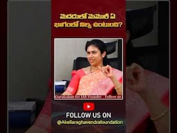 మెదడులో మెమొరీ ఏ భాగంలో నిల్వ ఉంటుంది?