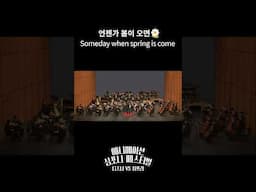 봄이 생각나는 백설공주 곡🌼