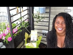 Container Garden Secrets Every Homesteader Must Know