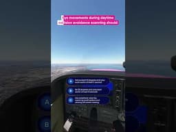Eye Movements for Collision Avoidance