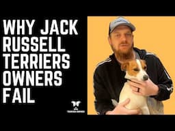 Why Jack Russell Terrier Owners Fail