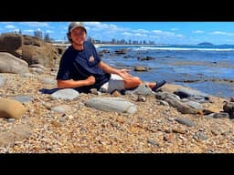 Micro seashell finding at low tide! Found a rare cowry shell + hundreds more tiny shells!
