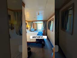 Where the kids sleep on the ship!!