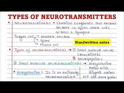 Types of neurotransmitters | Handwritten notes