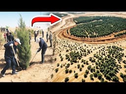 How China Turned the Big Desert into an Oasis Forever