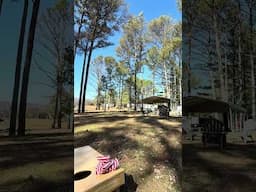 Nature-lovers wanted! Rustic tiny house living at #thecottagesatpinelake #tinyhousecommunity