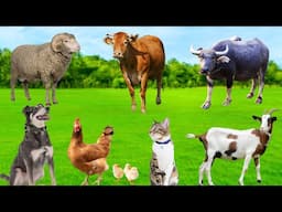 Farm Animal Sleep - Sheep, Goats, Horses, Chickens, Cows, Buffaloes, Rabbits - Animal Discovery