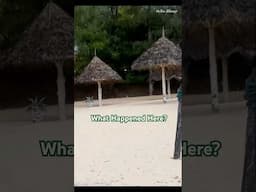 COCO BEACH/WHY THE LOOK #ytshorts #youtubeshorts #shortsfeed #viralshort #kenya #beach