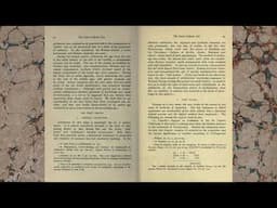 The Seven Liberal Arts: Arithmetic
