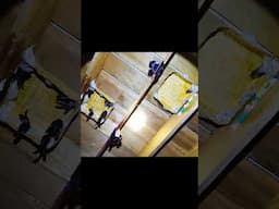 Jasa rehab gedung walet 085247753222 #walet #waletrimbakalimantan #burung #suarawaletoriginal
