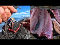 Coast Camp Fish Catch Cook & Eco Camping Toilet
