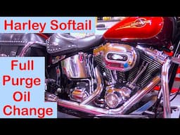 Harley Softail:- "Full Purge" Oil Change 2025