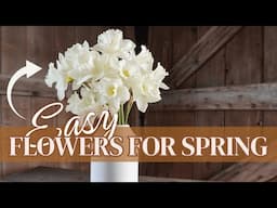 Favorite Specialty Daffodils to Grow for Spring