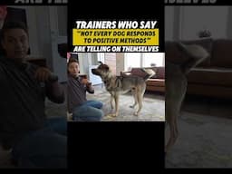 Trainers Who Say THIS Are Telling On Themselves 🚩 #dogtraining